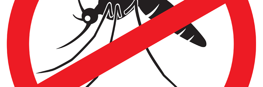 Campanha contra a dengue