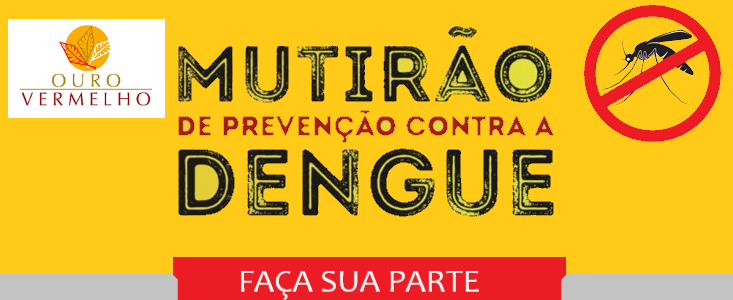 Mutirão contra a dengue