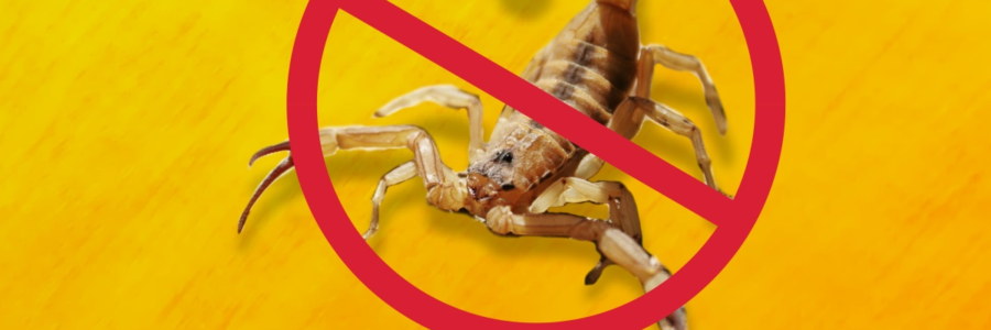 Campanha contra o escorpião