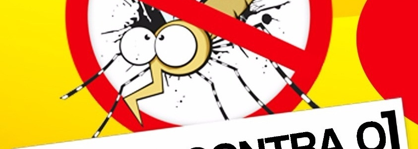 Campanha contra o mosquito Aedes aegypti