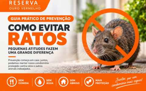 APARECIMENTO DE ROEDORES